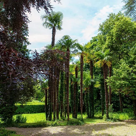 Apartamento L'orangerie Di Mayer - Myhomeincomo